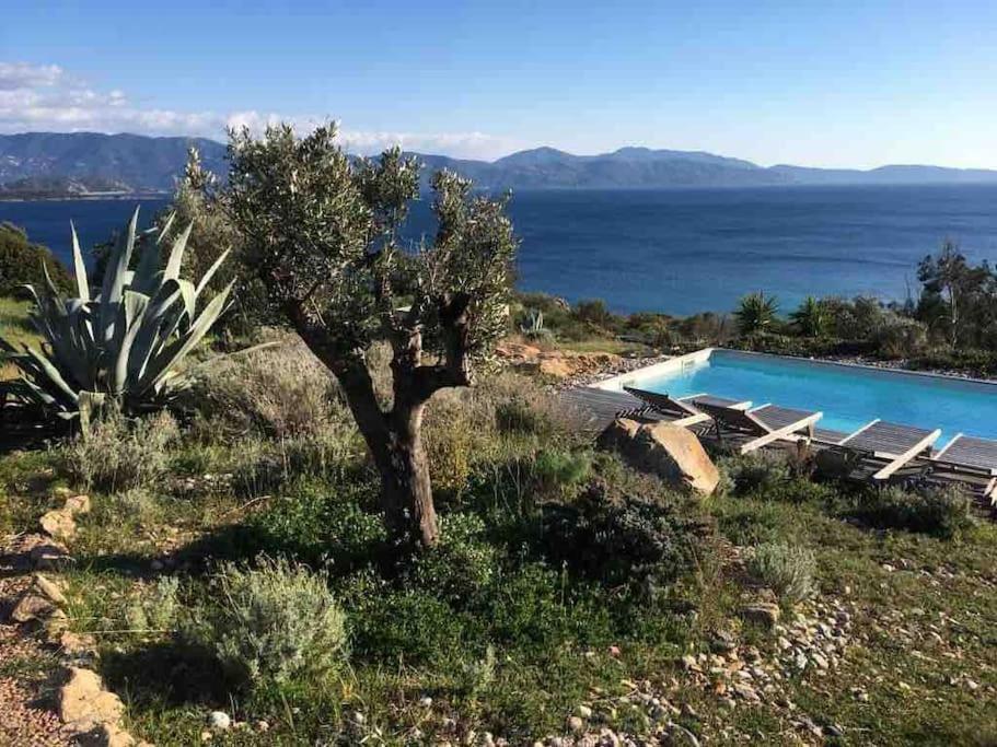 Casa Turrigiani Villa Sagone  Exteriör bild