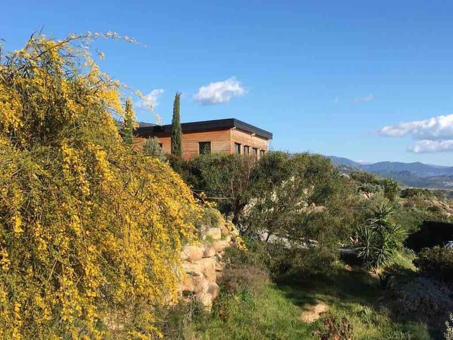 Casa Turrigiani Villa Sagone  Exteriör bild